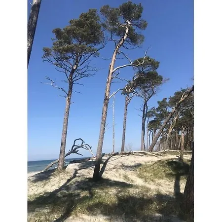 Lovely In Ostseebad * Prerow