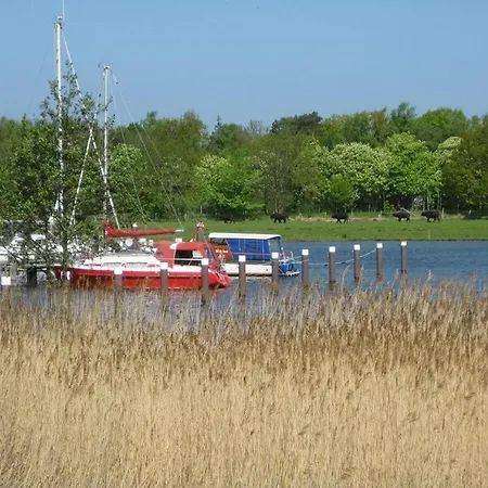 Lovely In Ostseebad Prerow